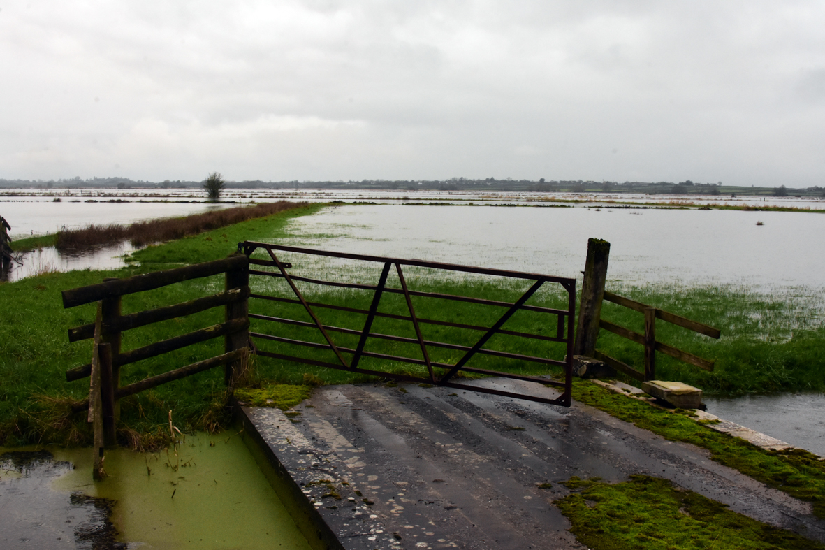 31st January -1st February