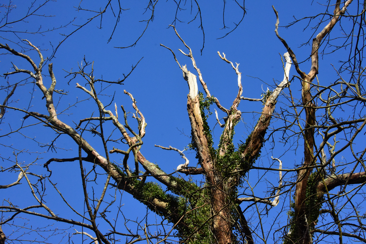 27th February – 1st March