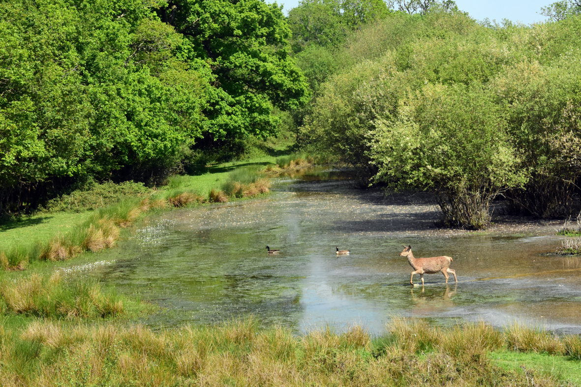 8th – 10th May