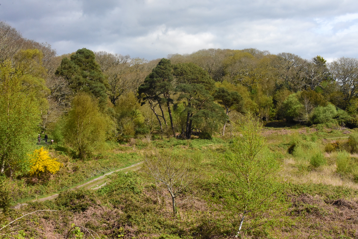 17th – 19th April