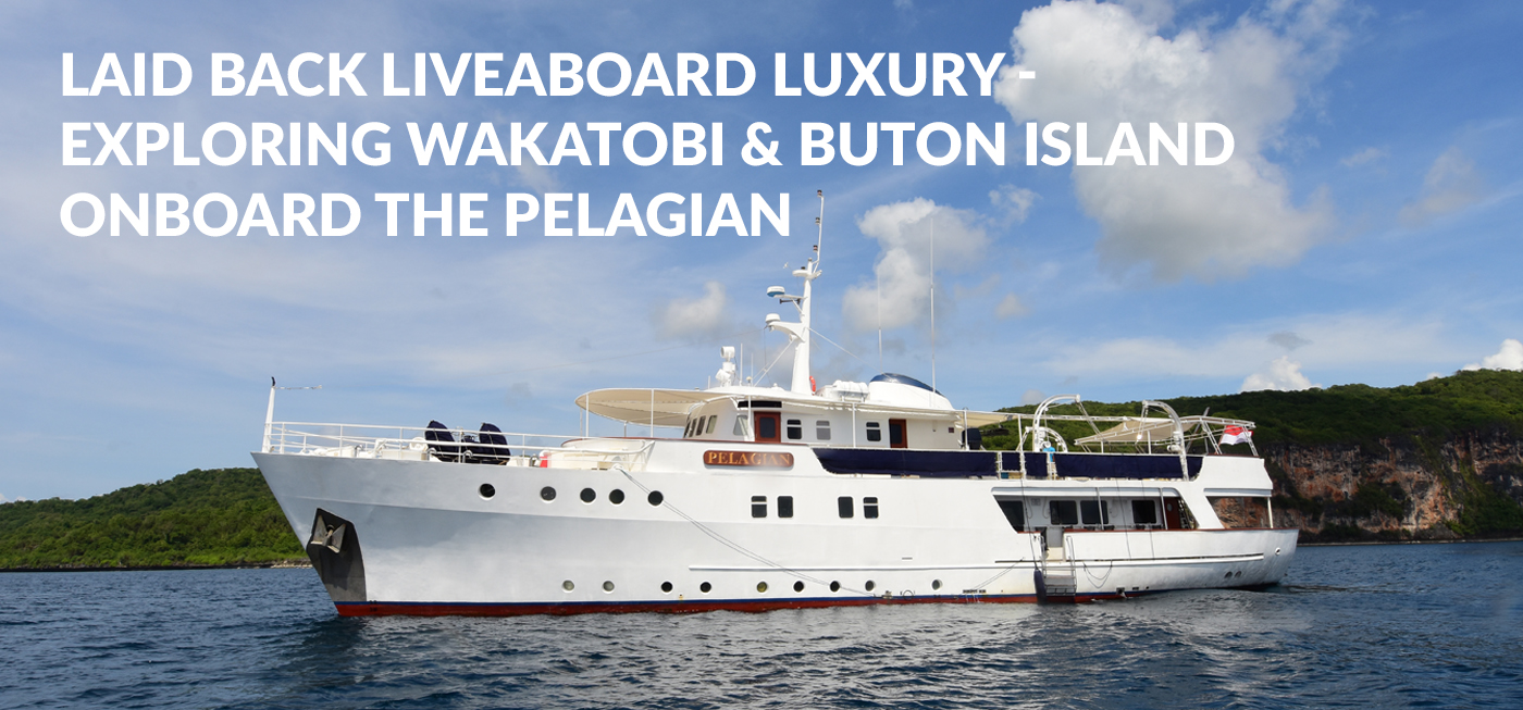 slide_Wakatobi Pelagian Liveaboard