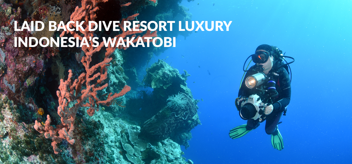 slide_Indonesia’s Wakatobi Resort